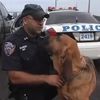 Video: Remembering Scooby, The Heroic NYPD Bloodhound